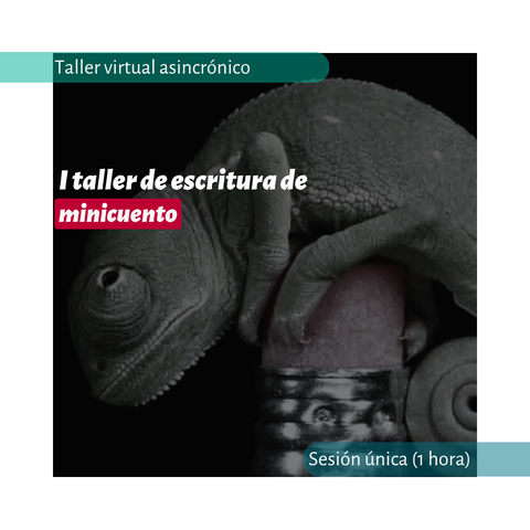 I Taller de Escritura de Minicuento