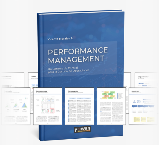 Manual de Performance Management