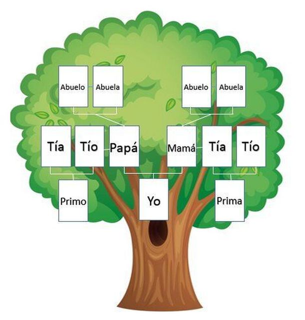 🌳 Reprogramación de creencias heredadas del árbol familiar