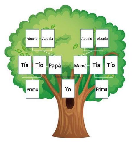 🌳 Reprogramación de creencias heredadas del árbol familiar