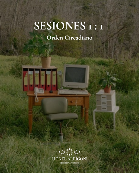 Sesiones 1:1 -  Orden Circadiano