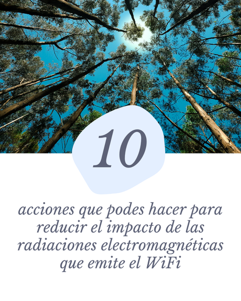 10 acciones para mitigar el impacto de CEMnn