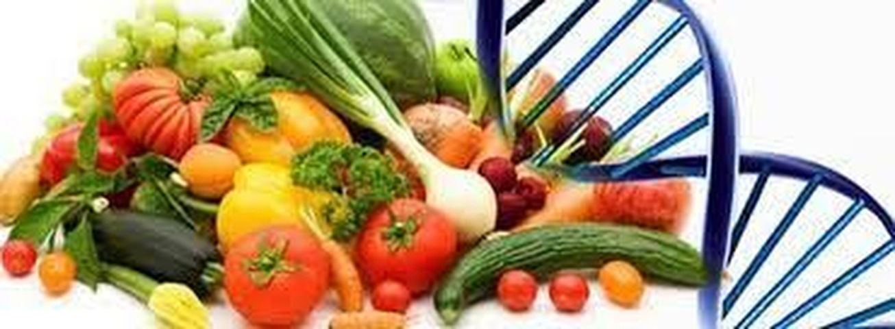 Capacitación Biología de los alimentos