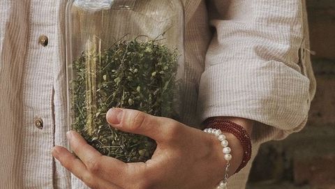 MINI GUIA HERBAL
