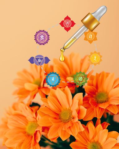 Terapia Floral y Chakras: Sanación emocional desde lo sutil