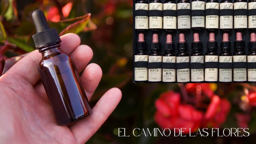 🌸 El Camino Floral – Fórmula Personalizada BACH
