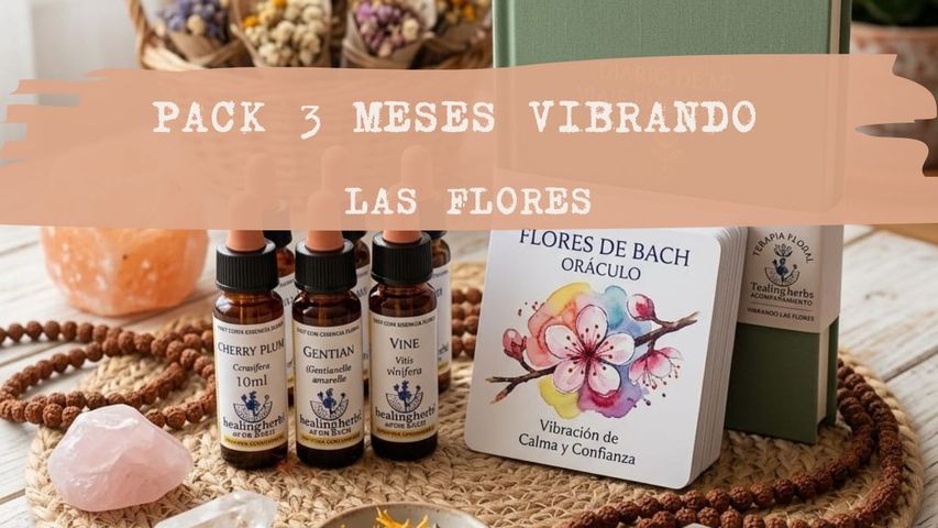 Pack 3 Meses Camino Floral