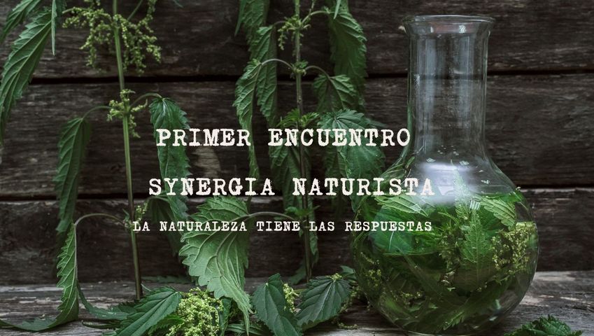 PRIMER SESIÓN SYNERGIA NATURISTA ©