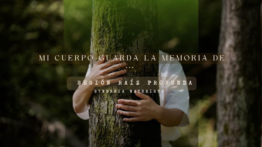 🌱 Sesión Raíz – Tu primer paso