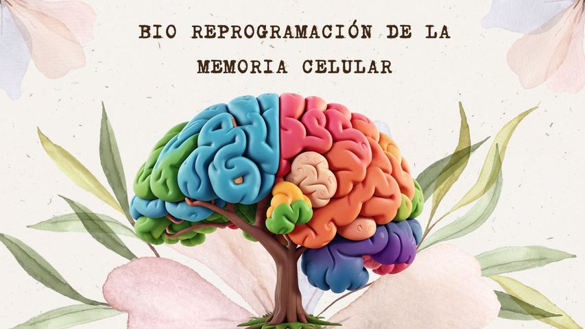 BIO REPROGRAMACÍÓN DE LA MEMORIA CELULAR