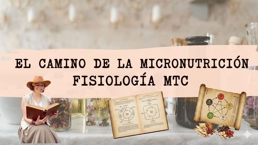 Camino de la Micronutrición– Acompañamiento Fisiológico MTC