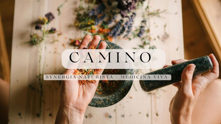CAMINO Synergia Naturista – Medicina Viva