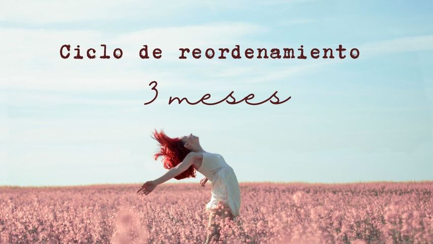🌿Ciclo de Profundización · Acompañamiento Vibracional Sostenido (3 meses)