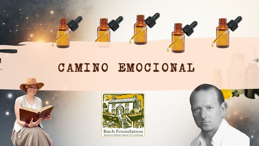El Camino emocional – Respirando las Flores