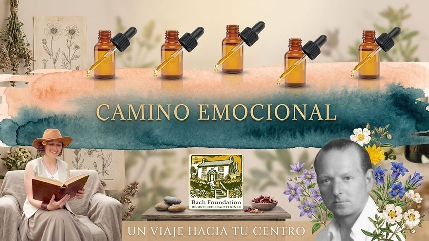 El Camino emocional - Acompañamiento Floral 