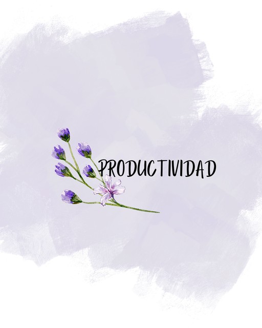 Productividad