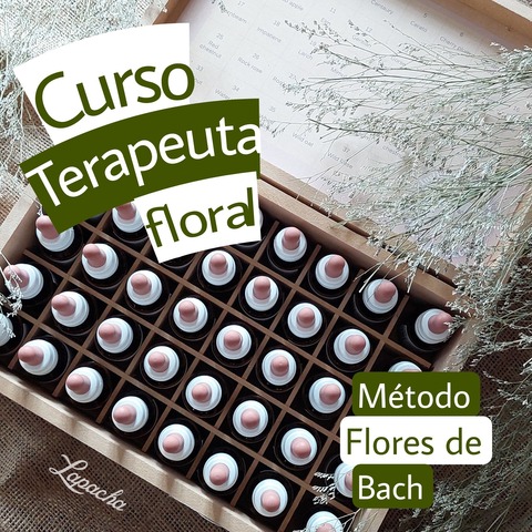 Curso FLORES DE BACH