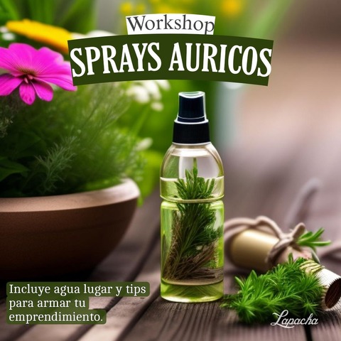 Workshop SPRAYS AURICOS