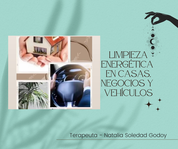 Limpieza de casas, negocios y vehículos