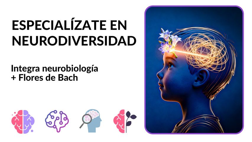 2º Edición de Taller Estrategias Florales de Bach en TDAH, Dislexia y Autismo.