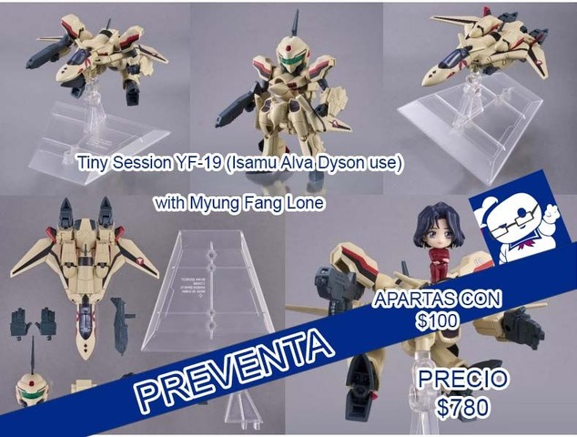 Tiny Session YF-19 (Isamu Alva Dyson use) with Myung Fang Lone