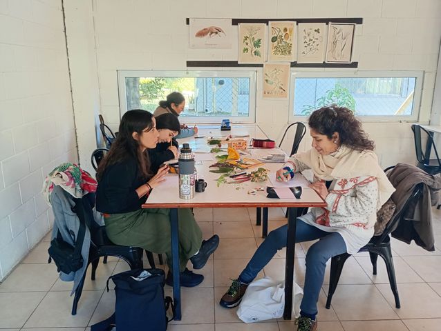 Taller de dibujo botánico