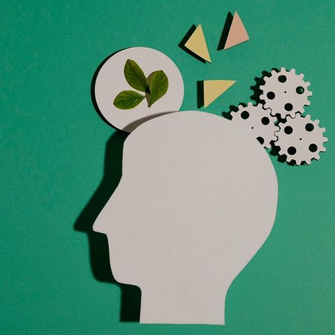 IS Los Ríos |  De la idea a la consolidación