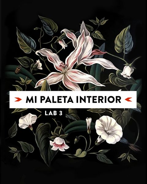 LAB 3 · Mi paleta interior