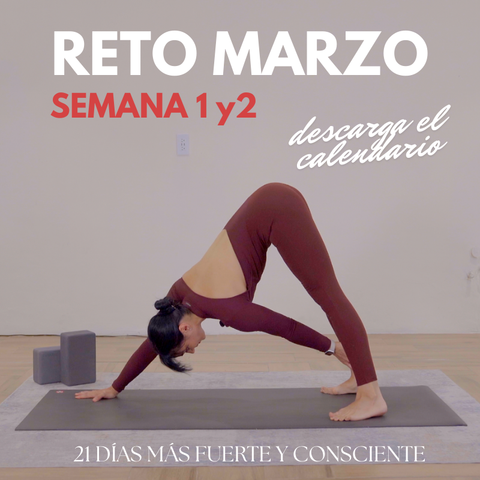 Reto Marzo. 21 días Más Fuerte y Consciente. (1-14)
