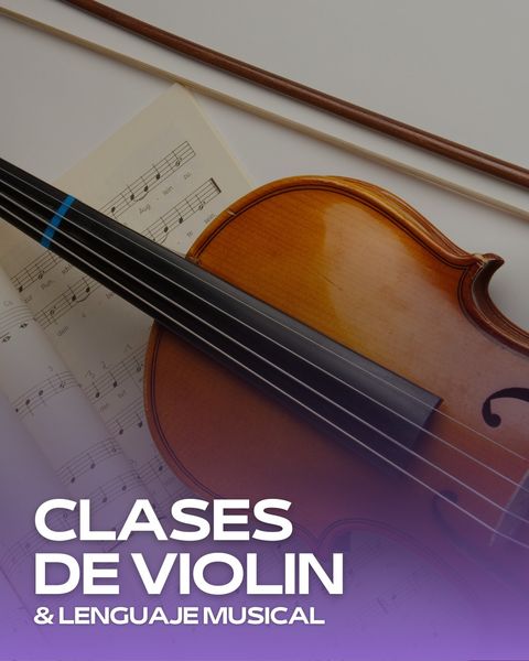  Violín