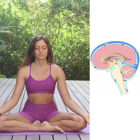 Meditación y Glándula Pineal