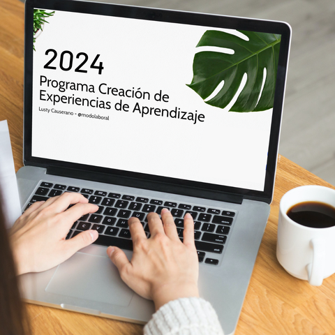 Programa Creación de Experiencias de Aprendizaje 2024