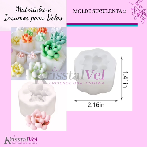 MOLDE SUCULENTA 2