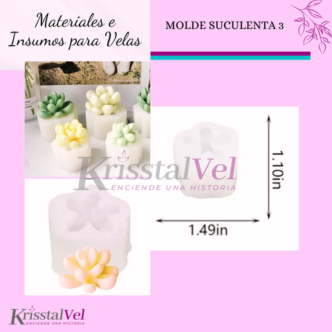 MOLDE SUCULENTA 3
