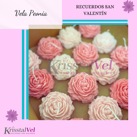 VELA PEONIA