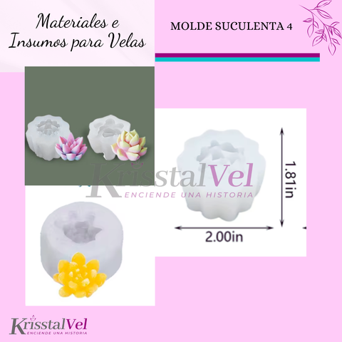 MOLDE SUCULENTA 4