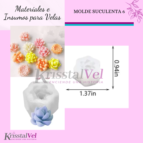 MOLDE SUCULENTA 6
