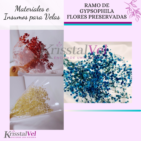 FLORES PRESERVADAS GYPSOPHILA