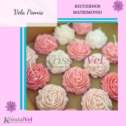VELA PEONIA