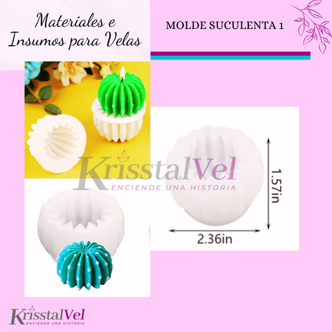MOLDE SUCULENTA 1