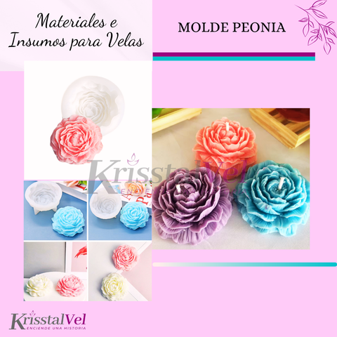 MOLDE DE PEONIA