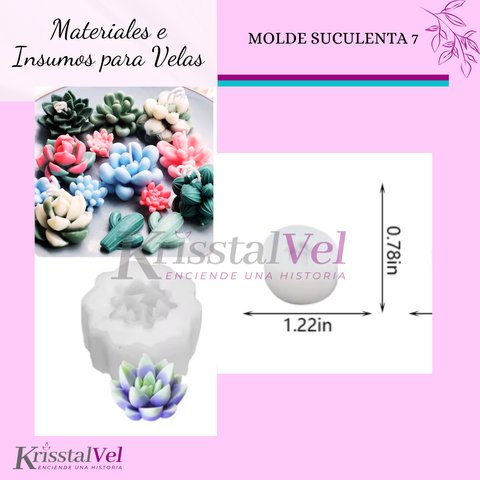 MOLDE SUCULENTA 7