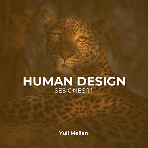 SESION  1:1  DISEÑO HUMANO 