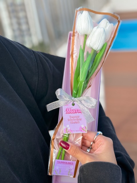 Tulipanes 