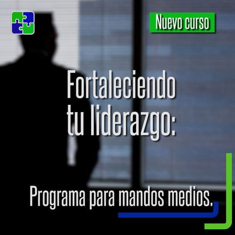 Fortaleciendo Tu Liderazgo: Programa para Mandos Medios