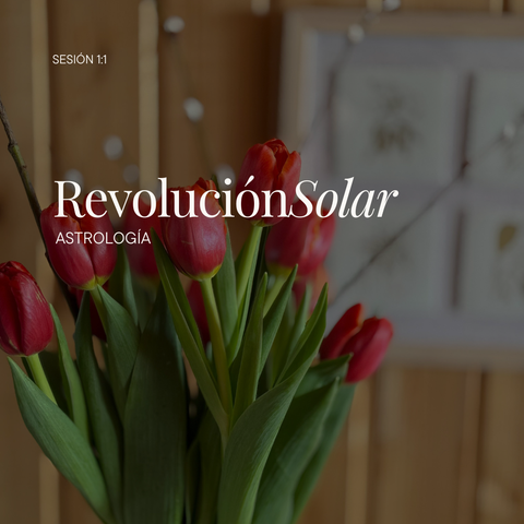 Sesión Revolución Solar