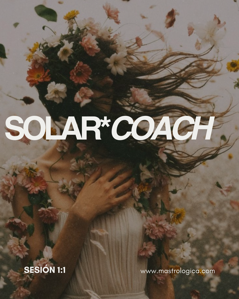 SolarCoach x 4 