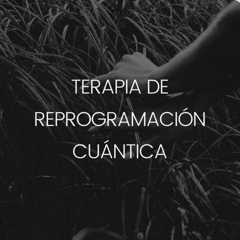 Reprogramación Cuántica