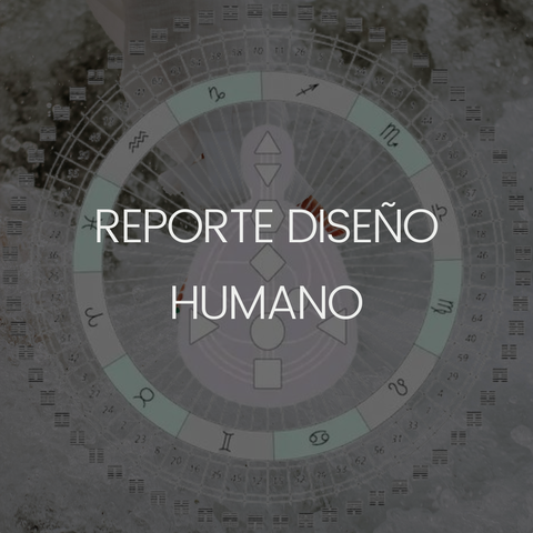 Informe Carta Diseño Humano