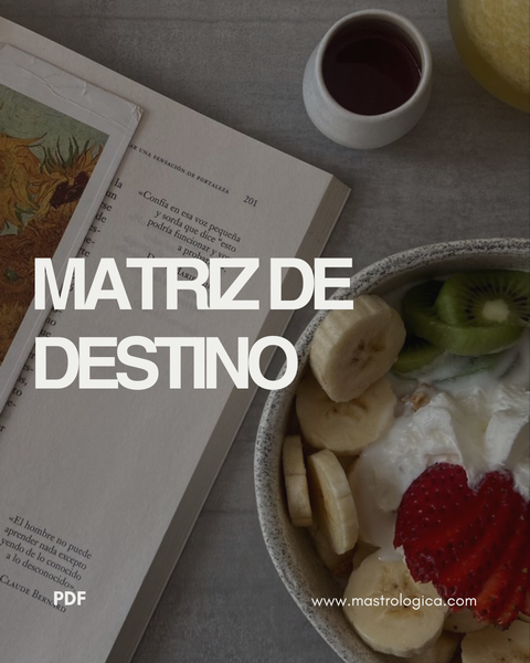 Reporte Matriz de destino